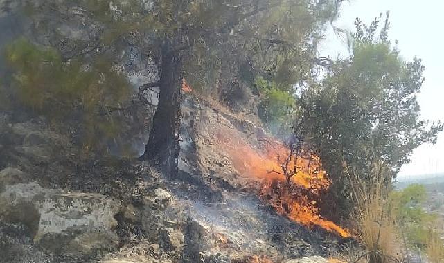 Aydın Büyükşehir Belediyesi İtfaiyesi, Söke'de ormanlık alanda çıkan yangını hızlı müdahaleyle büyümeden söndürdü