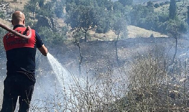 Koçarlı'daki yangın kontrol altına alındı