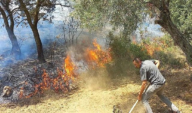 İzmir Kınık'taki yangında Devlet millet el ele verdi