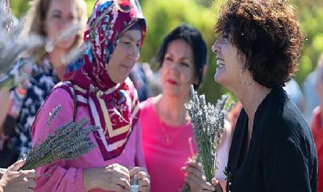 İmece usulü lavanta hasadında dayanışma örneği