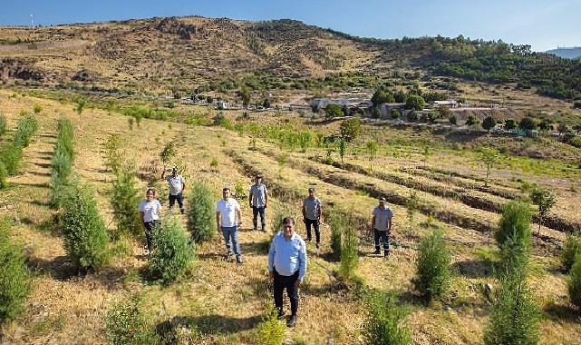 "Karşıyaka Kent Ormanı" geleceğe nefes olacak