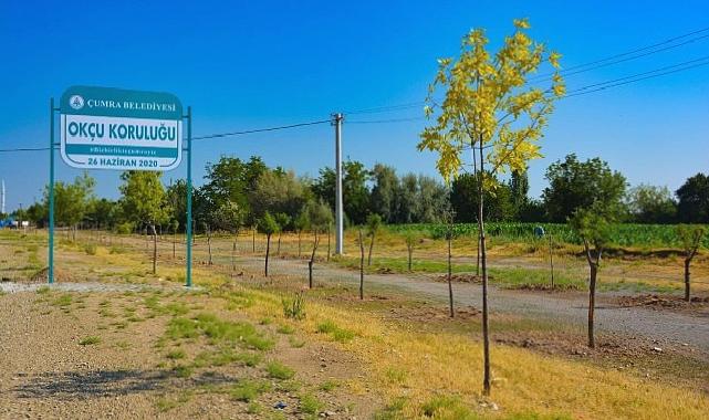 Çumra'nın Yeşil Alanları Nefes Oldu