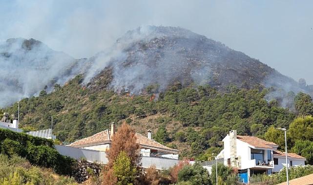 Yazlıkçıların Yüreği Ağzında; Orman Yangınları Konut Sigortasına Talebi Artırdı!