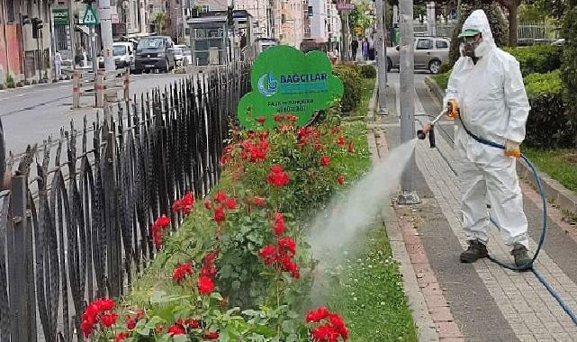 Bağcılar Belediyesi Bitlerle Mücadelesini Sürdürüyor