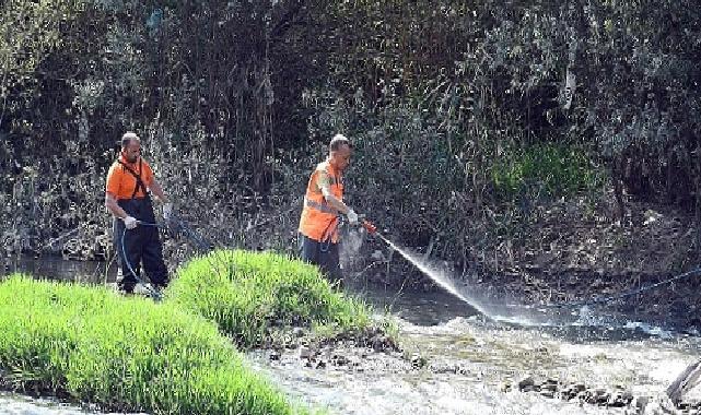 Karabük Belediyesi Sivrisinekle Mücadele Çalışmalarına Devam Ediyor