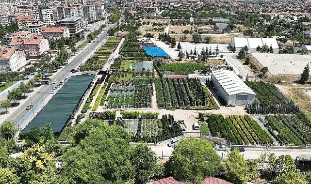 Başkan Altay Konya Ağaç A.Ş Satış Merkezi'nde İncelemelerde Bulundu