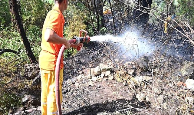 Kemer'de korkutan yangın büyümeden kontrol altına alındı