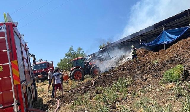 Muğla Büyükşehir Acil Müdahale Aracı ile Yangından Etkilenen Hayvanlara Müdahale