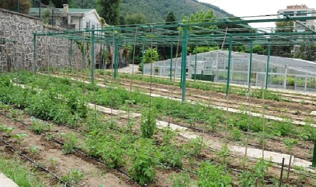 Tugay "Yerel tohumları koruyor ve toprakla buluşturuyoruz"