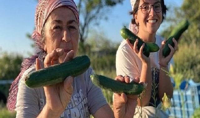 Buğday Derneği; Soframıza gelen zehirlerden 6'sı daha yasaklandı