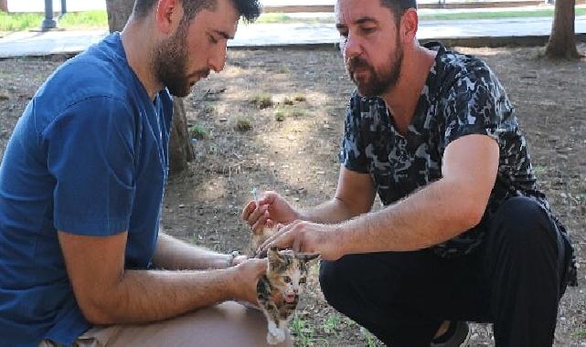 Antalya Büyükşehir can dostlarımızı hastalıklara karşı koruyor