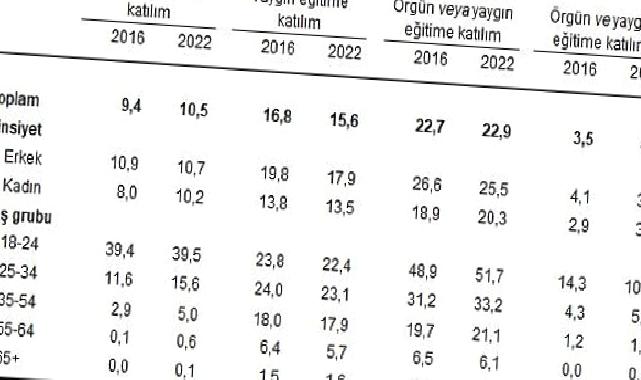 Yetişkinlerin örgün veya yaygın eğitime katılım oranı yüzde 22,9 oldu