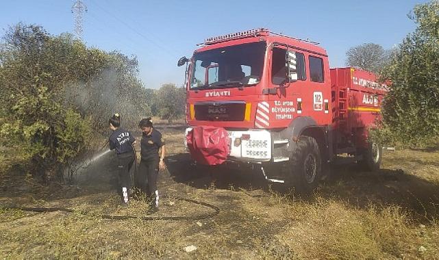 Aydın Büyükşehir Belediyesi İtfaiyesi'nden Umurlu'daki yangına müdahale