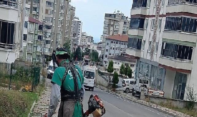 Canik'te Ekipler Gece Gündüz Sahada