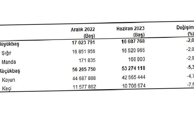 Büyükbaş hayvan sayısı 2023 yılı Haziran ayında 16 milyon 688 bin baş oldu