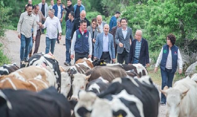 Bergama'da yayla yolculuğu başladı