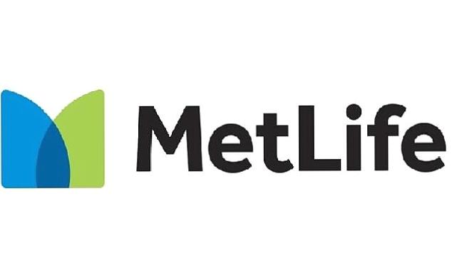 MetLife Türkiye Çalışanları, Daha Sürdürülebilir Bir Dünya için Gönüllü Çevre Temizliğine Devam Ediyor