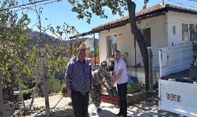 Edremit'ten Çanakkale'ye 250 Zeytin Fidanı