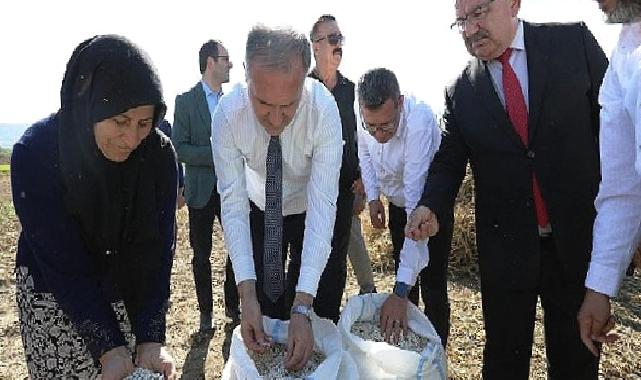 Tarladan Sofraya; Cerrah Kuru Fasulyesi