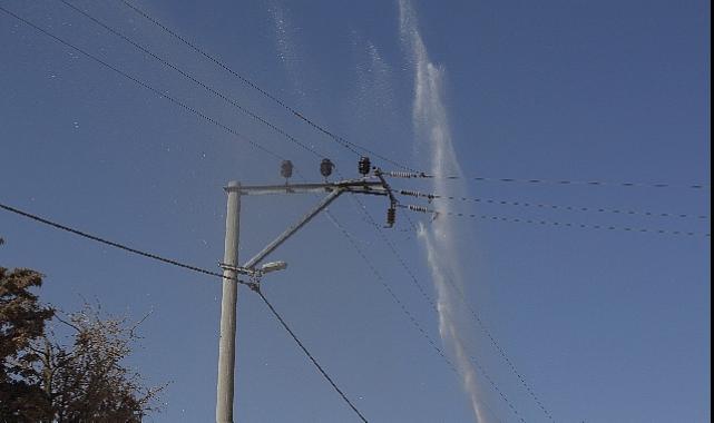 Elektrik Hatlarında Temizlik Zamanı