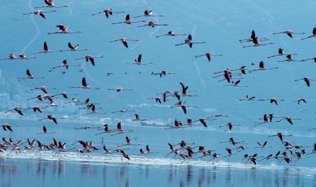 Başkan Soyer Çiğli Arıtma Tesisi'ndeki çalışmaları inceledi İZSU'dan temiz Körfez için tarihi adımlar