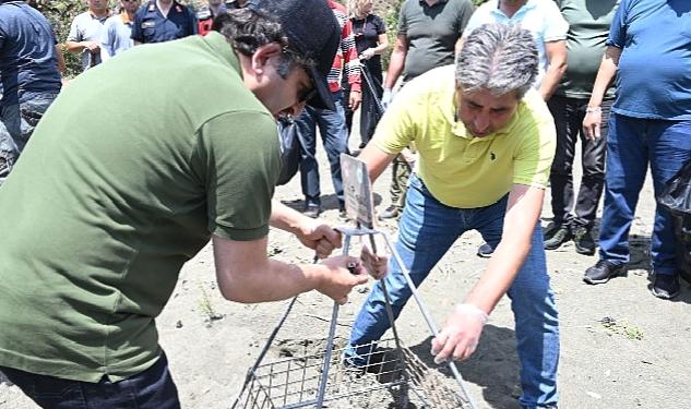 Kemer'de "Caretta caretta ilk yuva" etkinliği yapıldı