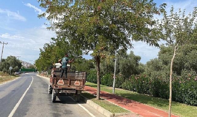 Milas Belediyesi mevsimsel bakım çalışmalarına devam ediyor