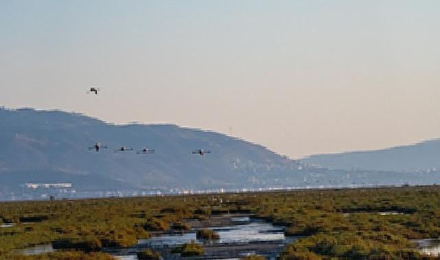 İzmir, Gediz Deltası projesiyle Ufuk Avrupa Programı'nı Kazandı