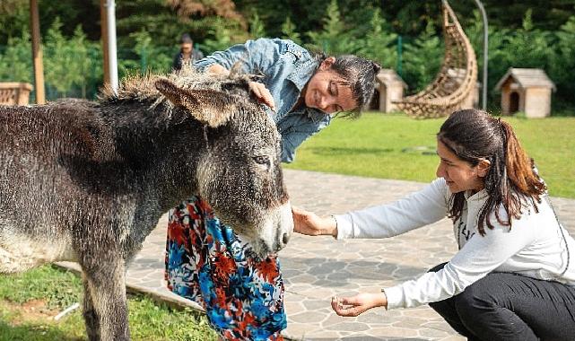 Hepsiburada, 4 Ekim Hayvanları Koruma Günü'nde Can Dostlarımızı Unutmadı