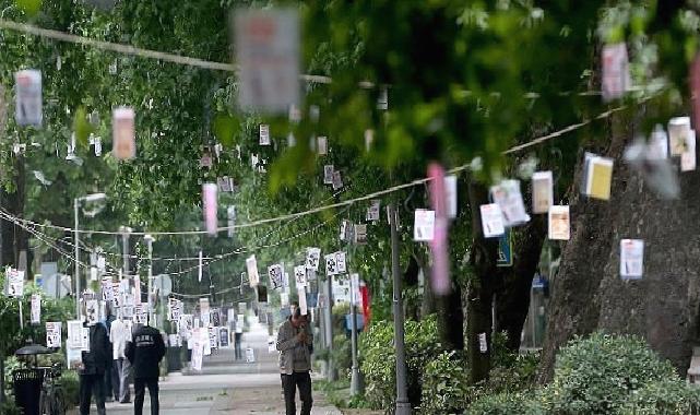 Cumhuriyet Bulvarı'nda Ağaçlar Kitap Açacak